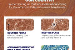 Indigenous Business Branding: Honouring Heritage While Driving Growth